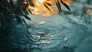 Subtle ripples spread across water's surface, mirroring the colorful reflections of a setting sun, creating a mesmerizing and tranquil ambiance in nature. photo