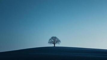 A solitary tree standing majestically on a hill during twilight, encapsulating themes of solitude, resilience, and the beauty of nature's simplicity. photo