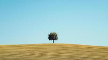 A solitary tree stands prominently on a golden field under a vibrant blue sky, symbolizing strength, resilience, and the beauty of nature's simplicity. photo