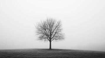 A hauntingly beautiful image of a solitary tree standing amidst a foggy landscape, evoking emotions of solitude, mystery, and introspection. photo