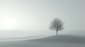 A solitary tree stands gracefully in a misty snowy landscape, symbolizing resilience and solitude, capturing the beauty of winter's stillness in a minimalist style. photo