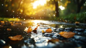 A captivating image showcasing golden autumn leaves resting on a serene stream while droplets create ripples, embodying the essence of fall's beauty. photo