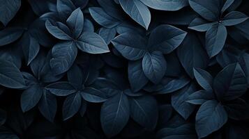 This image showcases a beautiful arrangement of dark green leaves with intricate patterns, highlighting nature's artistry and simplicity in a serene and calming atmosphere. photo