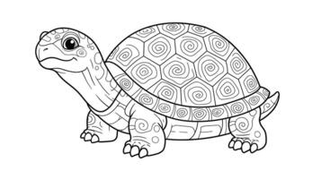 A turtle coloring page with a large turtle vector