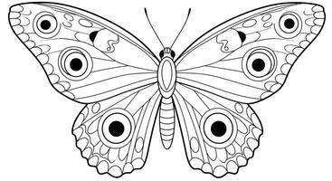 Coloring page featuring a butterfly with large circular patterns on its wings vector