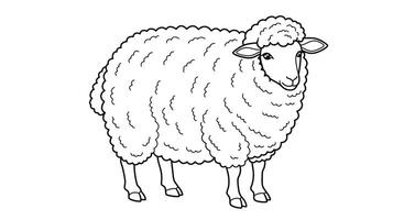 A sheep coloring page with a black and white outline vector