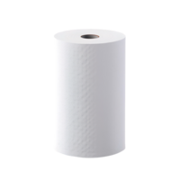 Empty toilet paper roll isolated on transparent background png