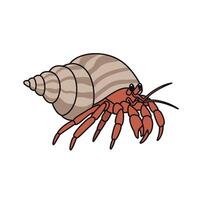Hermit crab illustration vector