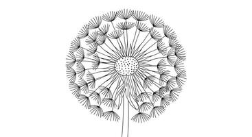 A black and white drawing of a dandelion vector