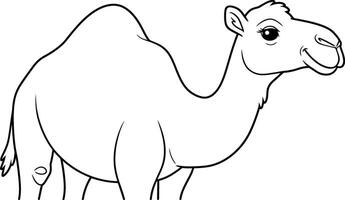 A Camel coloring pages for kids vector