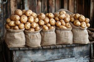 Fresh potatoes in burlap sacks waiting at the market photo