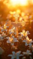 Glowing cross standing in a field of lilies at sunset photo