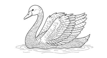 A swan coloring page with a patterned background vector
