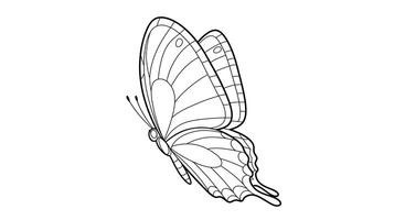 Coloring page featuring a butterfly in flight shown from a side view with its wings spread wide. vector