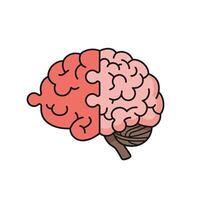 A brain with two halves, one half is red and the other is pink vector