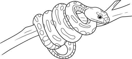 Coloring page of A snake on a branch vector