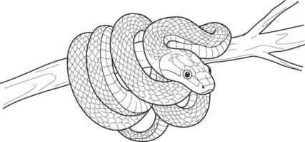 A snake on a branch coloring page vector