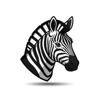A zebra head on a white background vector