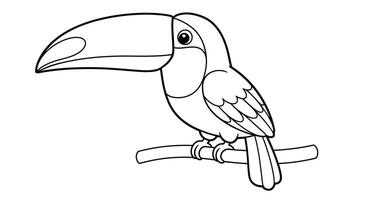 A coloring page of a Toucan bird vector