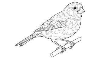 A drawing of a bird sitting on a branch vector