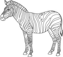 Coloring Page Featuring a Zebra Showing Its Distinctive Black and White Stripes vector