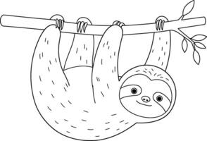 Sloth hanging on a branch coloring page vector