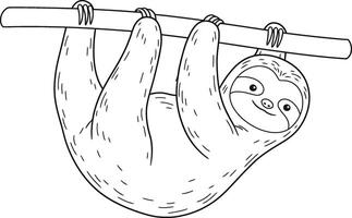 Sloth hanging on a tree branch coloring page vector
