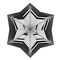 A black and white drawing of a star with a black and white pattern vector