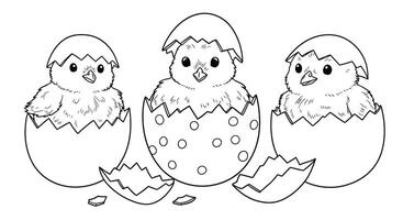 Three little chicks in an egg coloring page vector