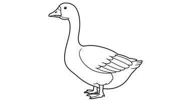 A goose is standing in a line coloring page vector