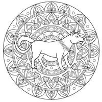 A dog in a circle with a mandala design vector