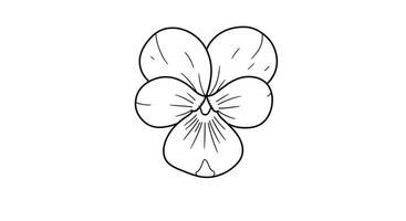 A drawing of a flower with a single petal vector
