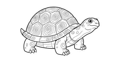 A turtle coloring page with a black and white image vector