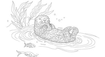 An otter is swimming in the water coloring page vector