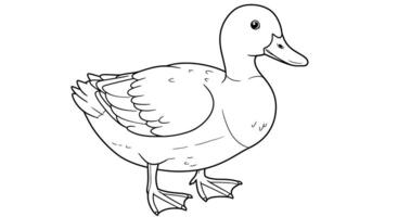 A duck is standing in the middle of the page vector