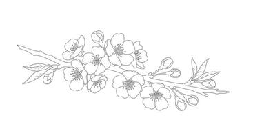 A drawing of a branch with flowers on it vector