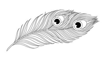 A black and white drawing of a feather with two eyes vector