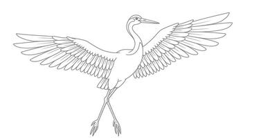 A Chinese Crane With a Serene Expression and Gracefully Curved Wings vector