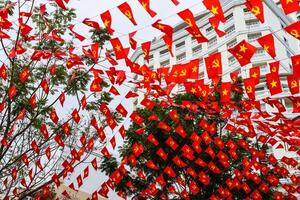 Vietnamese flags and communism flags in Nha Trang, Vietnam photo