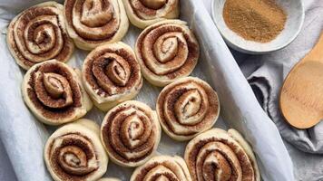 Cinnamon rolls rising, baking preparation on the table video