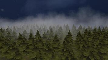 Tree Nature animation background video