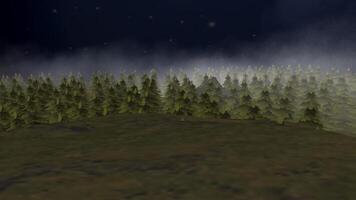 Tree forest nature animation background video