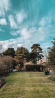 A yard with a house and trees photo