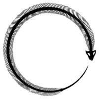 Skeleton of snake. vector