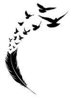 Flying Bird with feather. vector
