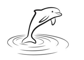 Dolphin jump into the sea. vector