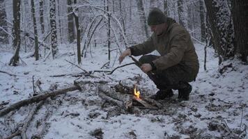 A survival enthusiast carefully arranges sticks to build a fire in a snow-covered forest. The tranquil winter setting creates a serene atmosphere amidst the snowflakes. video