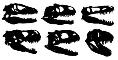 Skulls of dinosaurs. vector