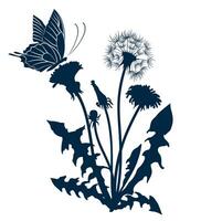 Field dandelion with flying butterfly. vector