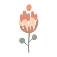 The flower is simple, cute. illustration, on white background vector